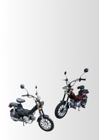 FarkasMotor